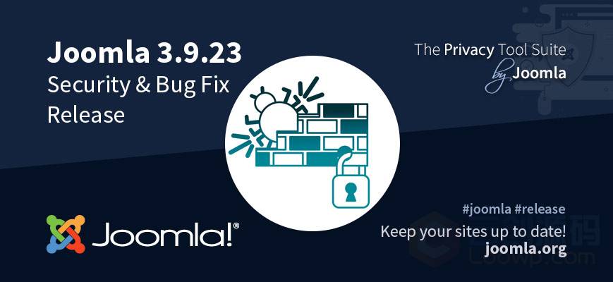 Joomla 3.9.23免费建站系统网站源码 -1