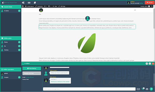【Flat Visual Chat v5.399】实时聊天在线客服WordPress插件 -2