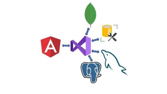 Angular 12 和 .NET Core Web API全栈开发从入门到精通视频教程 -1